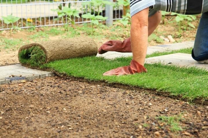 Aménagement extérieur à Chaponost